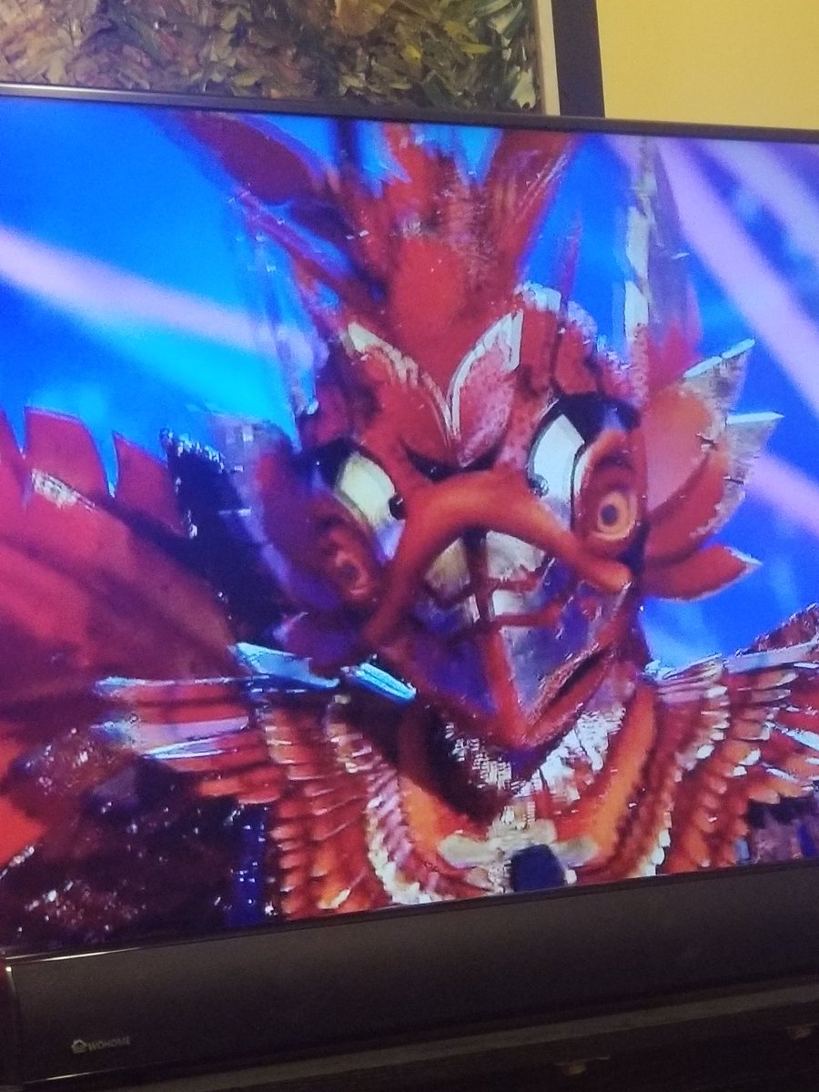 DLCBaltimore's tweet photo. Caitlin Jenner HAS TO BE the Pheonix on #TheMaskedSinger https://t.co/mPq9ibCW9I