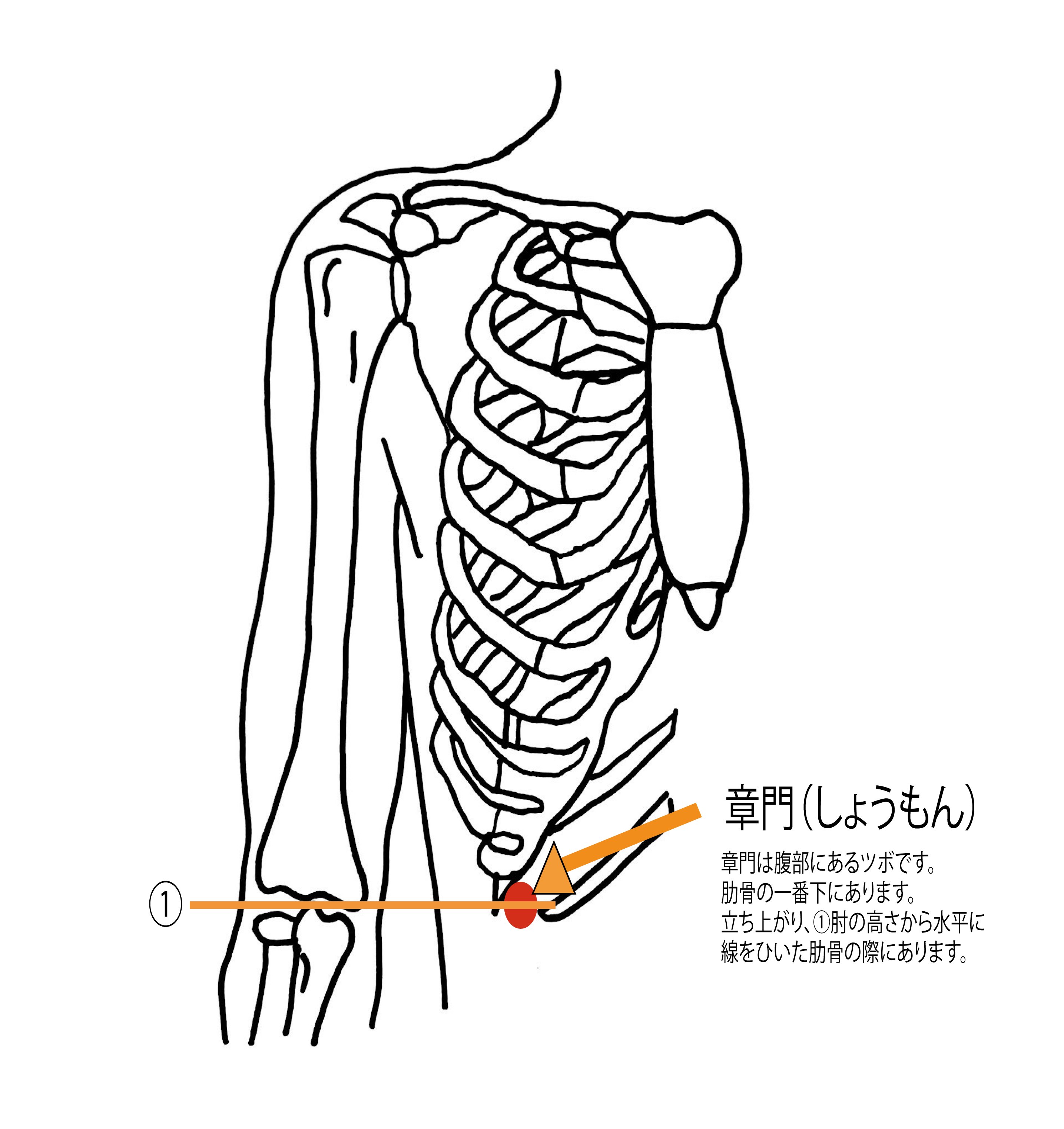 ぴーてん 自然が好きな鍼灸師で漢方家 イライラした時のツボ使い分け 気が短くなる時 太衝 たいしょう ストレスで胃痛 章門 しょうもん ストレスで頭が痛い 百会 ひゃくえ 覚えておくと便利です W ノ T Co 5aipkwaye1 Twitter
