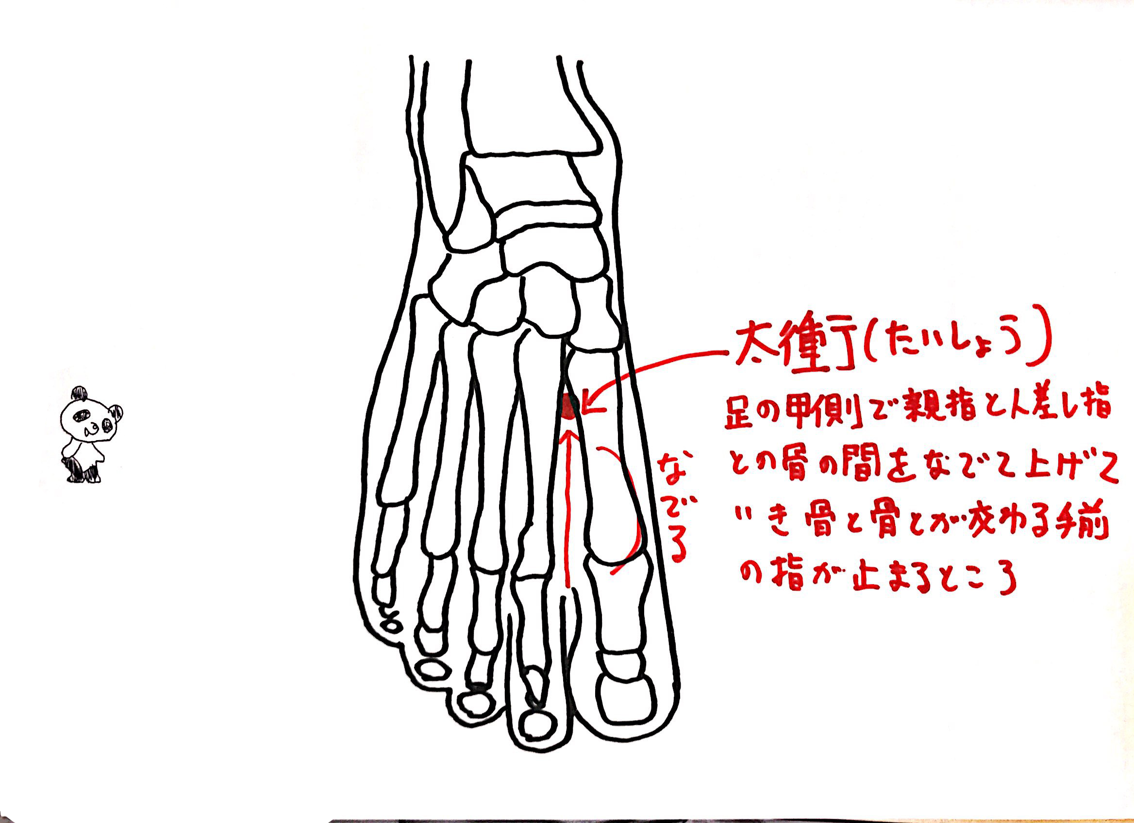 ぴーてん 自然が好きな鍼灸師で漢方家 イライラした時のツボ使い分け 気が短くなる時 太衝 たいしょう ストレスで胃痛 章門 しょうもん ストレスで頭が痛い 百会 ひゃくえ 覚えておくと便利です W ノ T Co 5aipkwaye1 Twitter