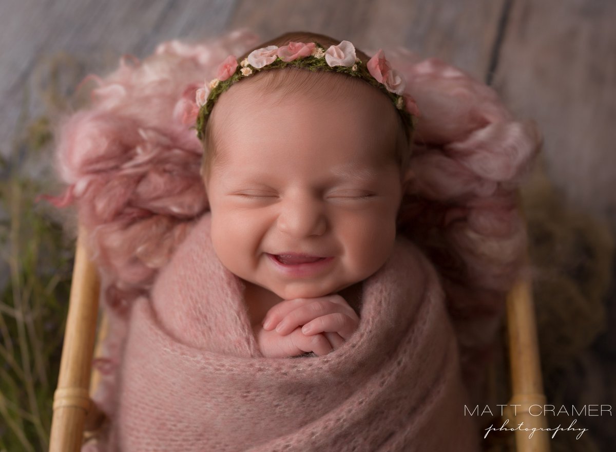 Matt Cramer Photography tweet media