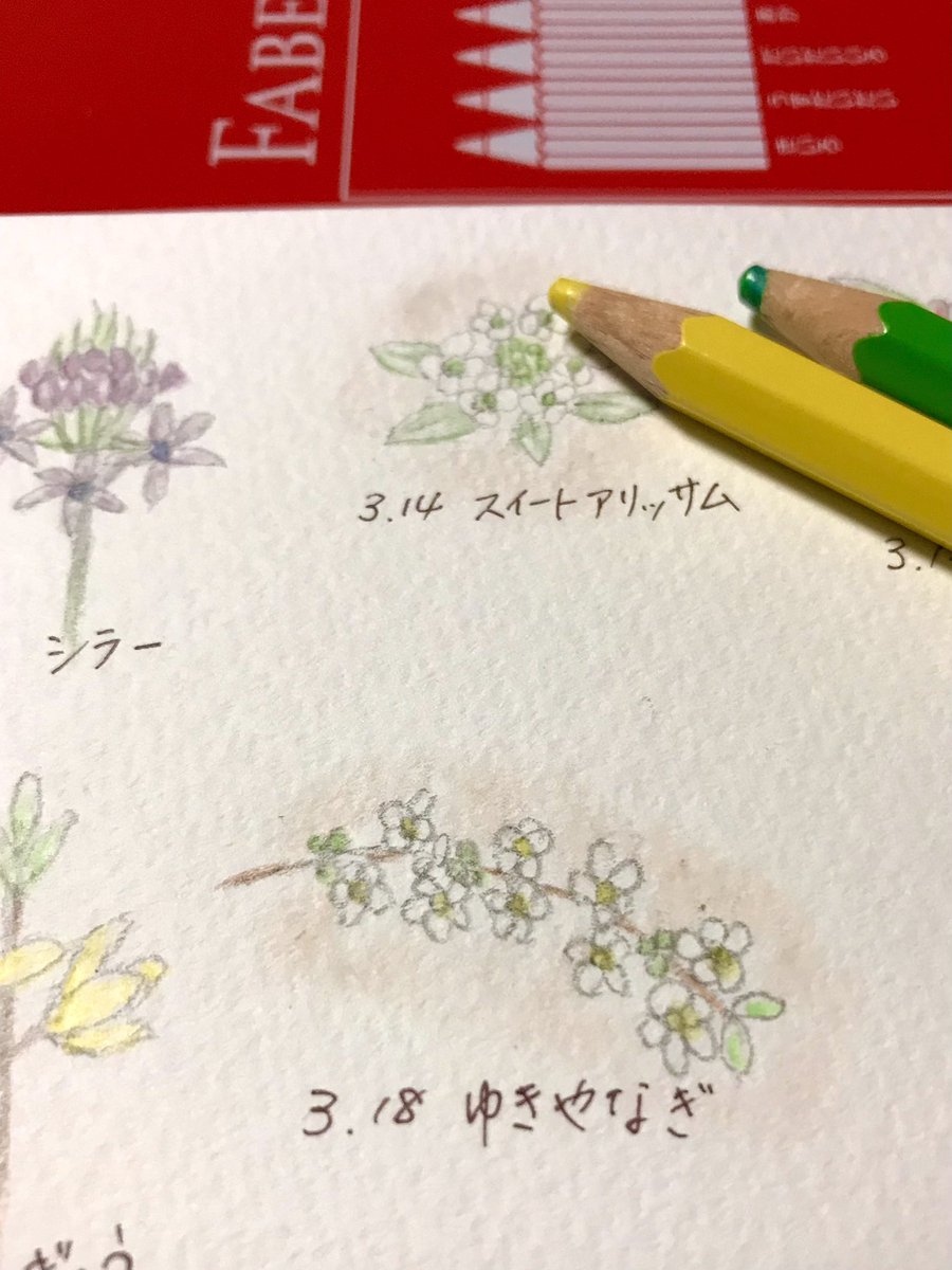 Twoucan 3月18日誕生日 の注目ツイート イラスト マンガ コスプレ モデル