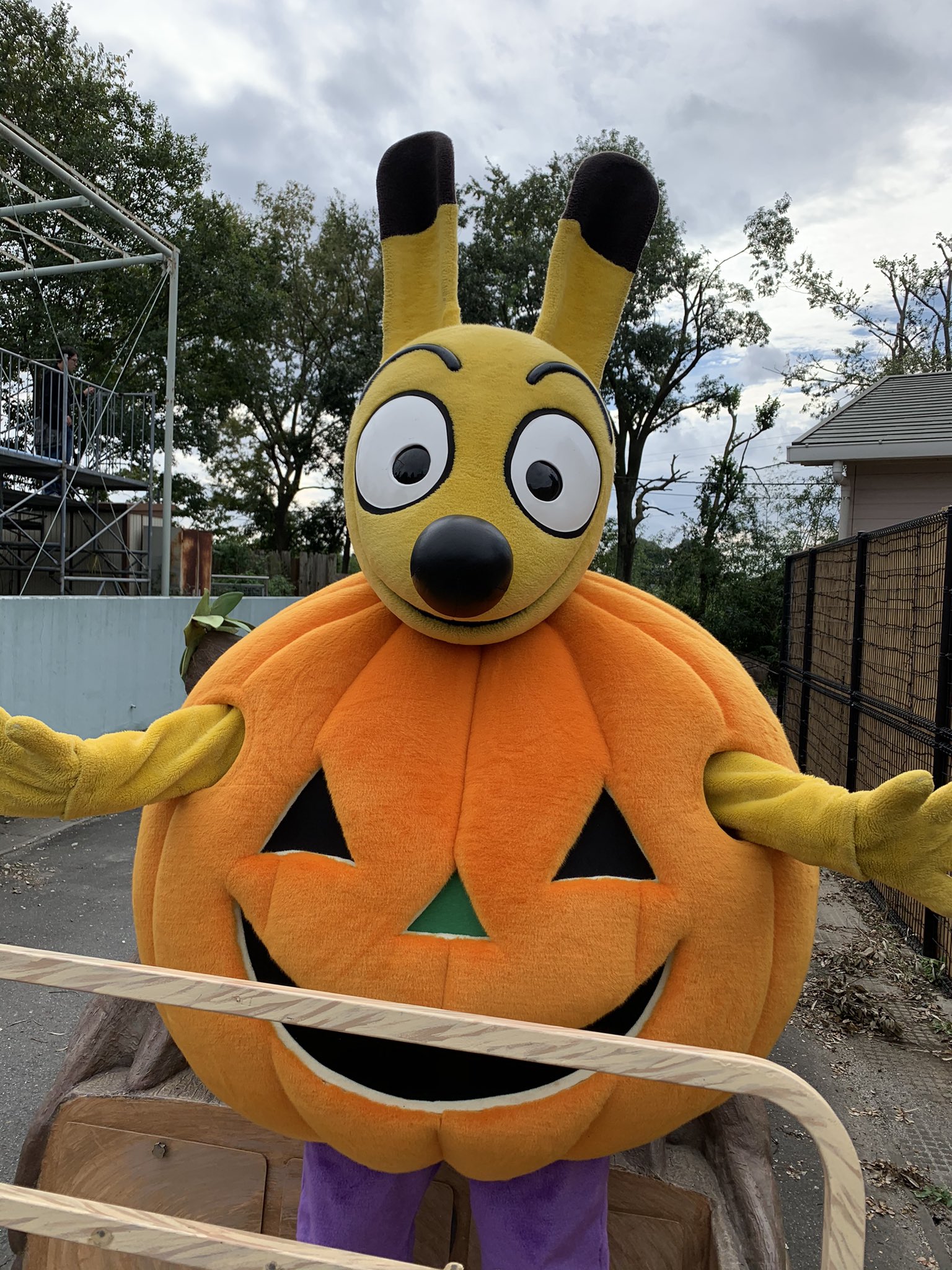 東武動物公園 公式 Happybirthday 今日は東武動物公園 マスコットキャラクター トッピーの誕生日です これからもトッピーをよろしくね 東武動物公園 トッピー生誕祭21 T Co Zku32ifhwm Twitter