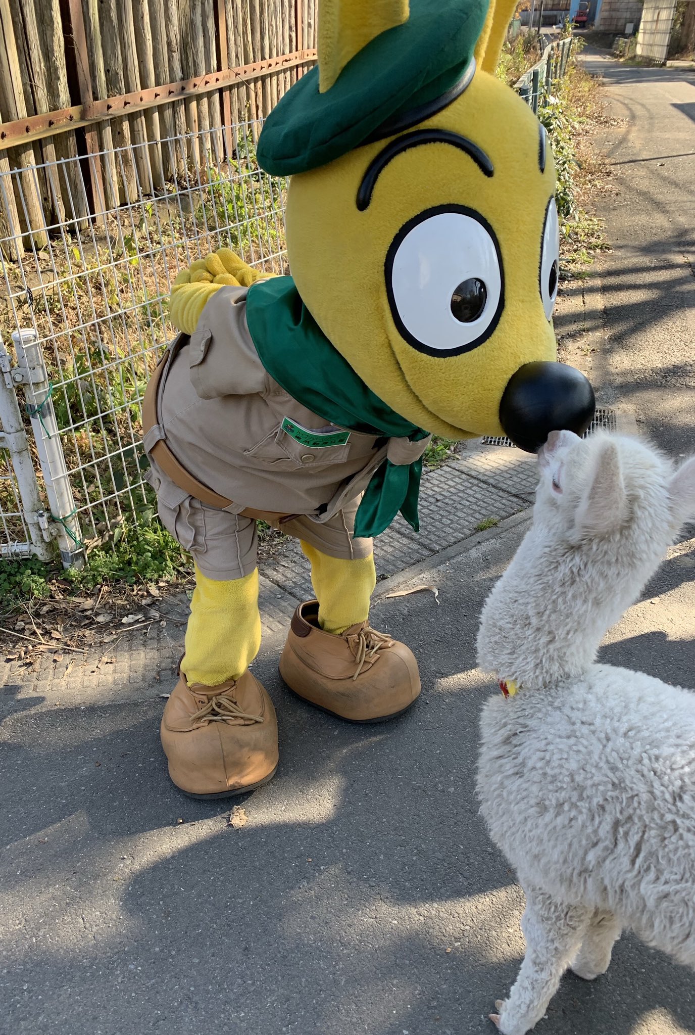 東武動物公園 公式 Happybirthday 今日は東武動物公園 マスコットキャラクター トッピーの誕生日です これからもトッピーをよろしくね 東武動物公園 トッピー生誕祭21 T Co Zku32ifhwm Twitter