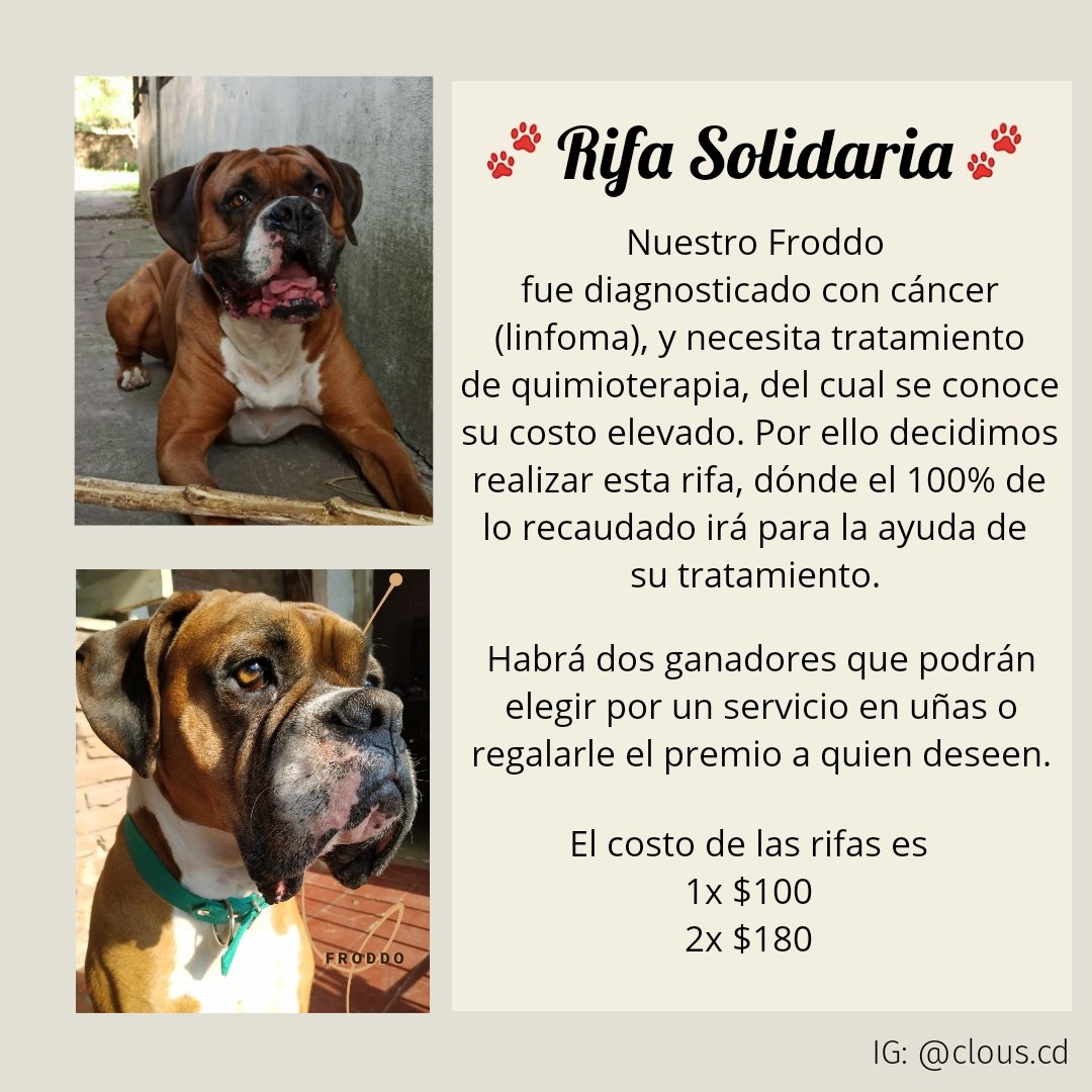 DecuzziCande1's tweet photo. Es por nuestro froddito, es todo para nosotros 🙏💖 https://t.co/WYMbXMHvHY