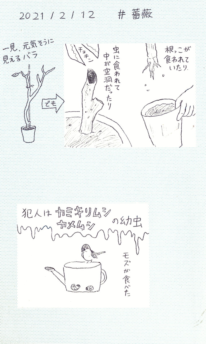 Satsuki_bib's tweet photo. #薔薇　#4歳育児　

#育児漫画　#コミックエッセイ https://t.co/JWtwOjoRVQ