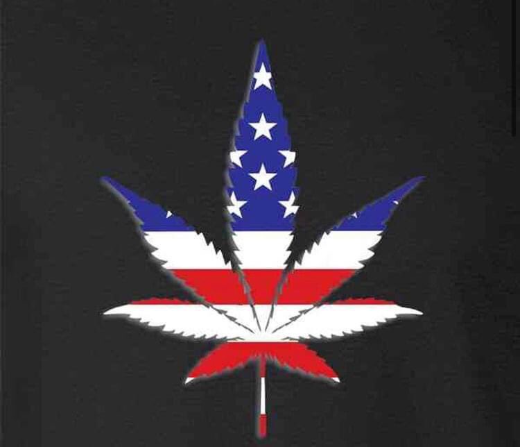 wind4me's tweet photo. #SafeBanking
#NewYork #Recreational
@GTIGrows #RecordQuarter
@crescolabs going 180 Dispensaries #Illinois
And @Trulieve #QueenKim Crushing numbers
Am I #Dreaming ? https://t.co/GYomX8WkNM
