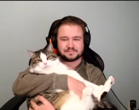 NascarAwesome's tweet photo. "That's a fat cat!" -@BlackFlagMatter
@DannyBTalks #Shugs https://t.co/tT1ZgEkPs7
