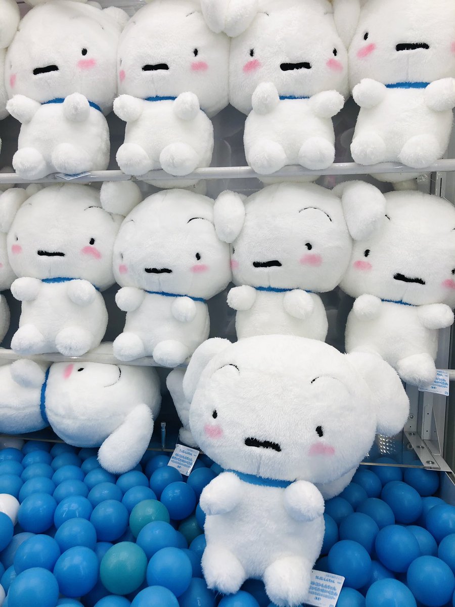 タイトーステーション上野アメ横店 プライズ クレヨンしんちゃん めちゃでかぬいぐるみ だっこしてほしいシロだゾ お久しぶりのしんちゃんシリーズからおおきなシロのぬいぐるみが入荷致しました 抱っこのポーズで皆さまのお迎えを待って タイトーステーション上野アメ横店 プライズ クレヨンしんちゃん めちゃでかぬいぐるみ だっこしてほしいシロだゾ お久しぶりのしんちゃんシリーズからおおきなシロのぬいぐるみが入荷致しました 抱っこのポーズで皆さまのお迎えを待って