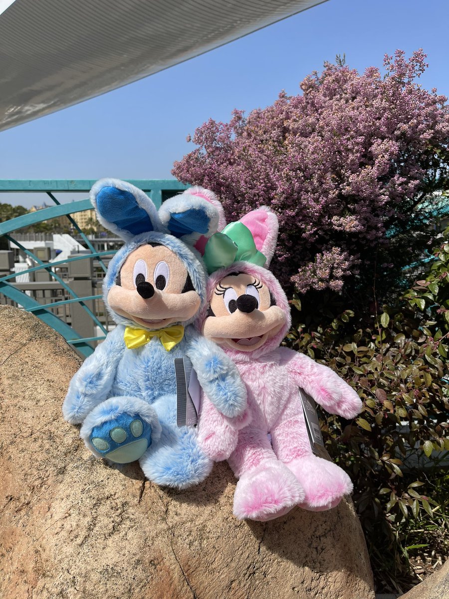 Hiromaydisney うさぎコスチュームのミキミニのぬいぐるみ 触りごごち良いしかわいい ミッキー ミニー ディズニー ディズニーストア 東京ディズニーリゾート イースターバニー イースター Tokyodisneyresort Mickeymouse Minniemouse Disney Hiromaydisney うさぎコスチュームのミキミニのぬいぐるみ 触りごごち良いしかわいい ミッキー ミニー ディズニー ディズニーストア 東京ディズニーリゾート イースターバニー イースター Tokyodisneyresort Mickeymouse Minniemouse Disney