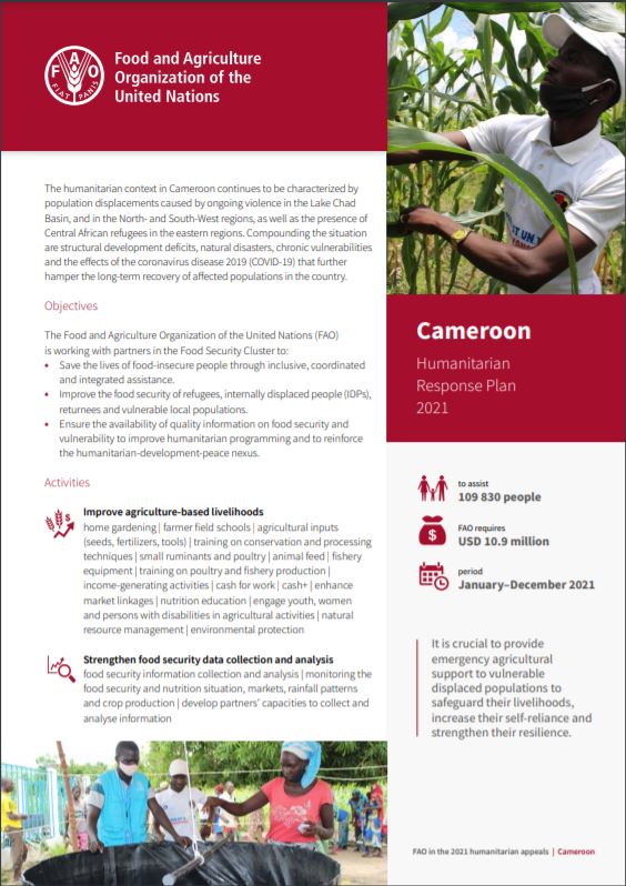FAOAfriqueCent's tweet photo. Au #Cameroun, il est crucial de fournir une aide agricole d'urgence aux personnes vulnérables déplacées.

La @FAO lance un appel de USD 10,9 millions pour renforcer la résilience de 109 830 personnes. 

📌https://t.co/GZGM7gOPpn

@FAOemergencies 
@FAOCameroun https://t.co/nPVWtZZmct