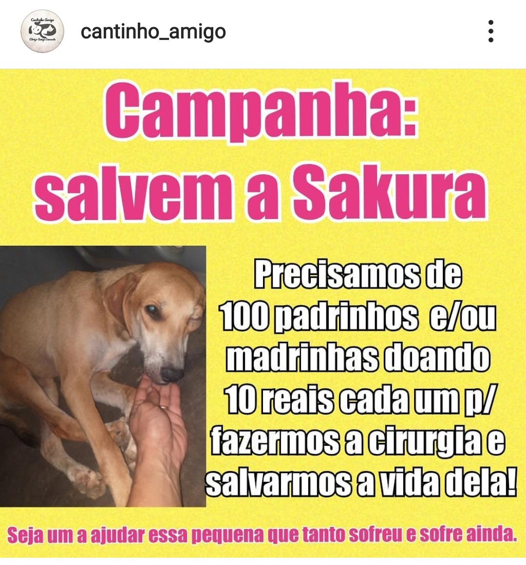 ViniTeary1's tweet photo. Gente se vcs puderem ajudar pelo menos com RT vai ser ótimo... Eu vi isso no insta e ela tá tendo várias convulsões e tá precisando fazer exames e tals....
O vídeo dela doeu meu coração gente...🥺
...
🚨🚨🚨🚨🚨🚨🚨🚨🚨🚨🚨
#CasaKalimann #BBB21 https://t.co/1IvyEqTlDN