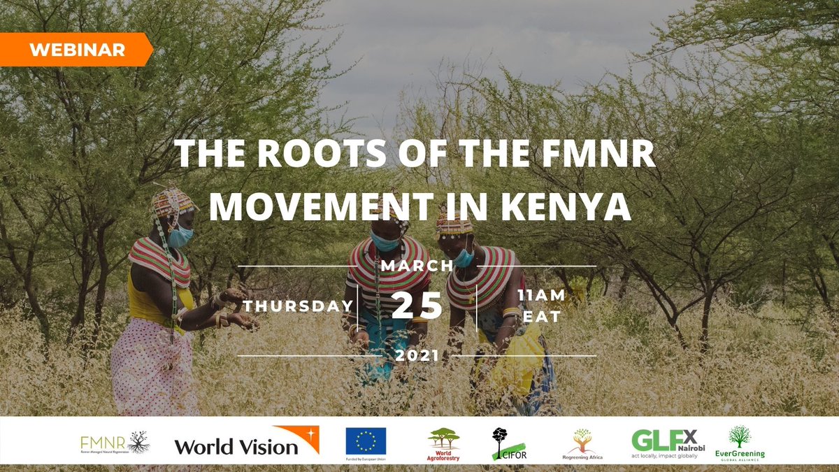 You are invited to 'The Roots of the FMNR Movement in Kenya' webinar! Celebrating the momentum of this #regreening practice and presented by @WorldVisionKE, @ICRAF, @CIFOR, @MoiUniversityKe, @RegreenAfrica, @EvergreeningA and @wvaus Please register: tinyurl.com/yfgxcmzy