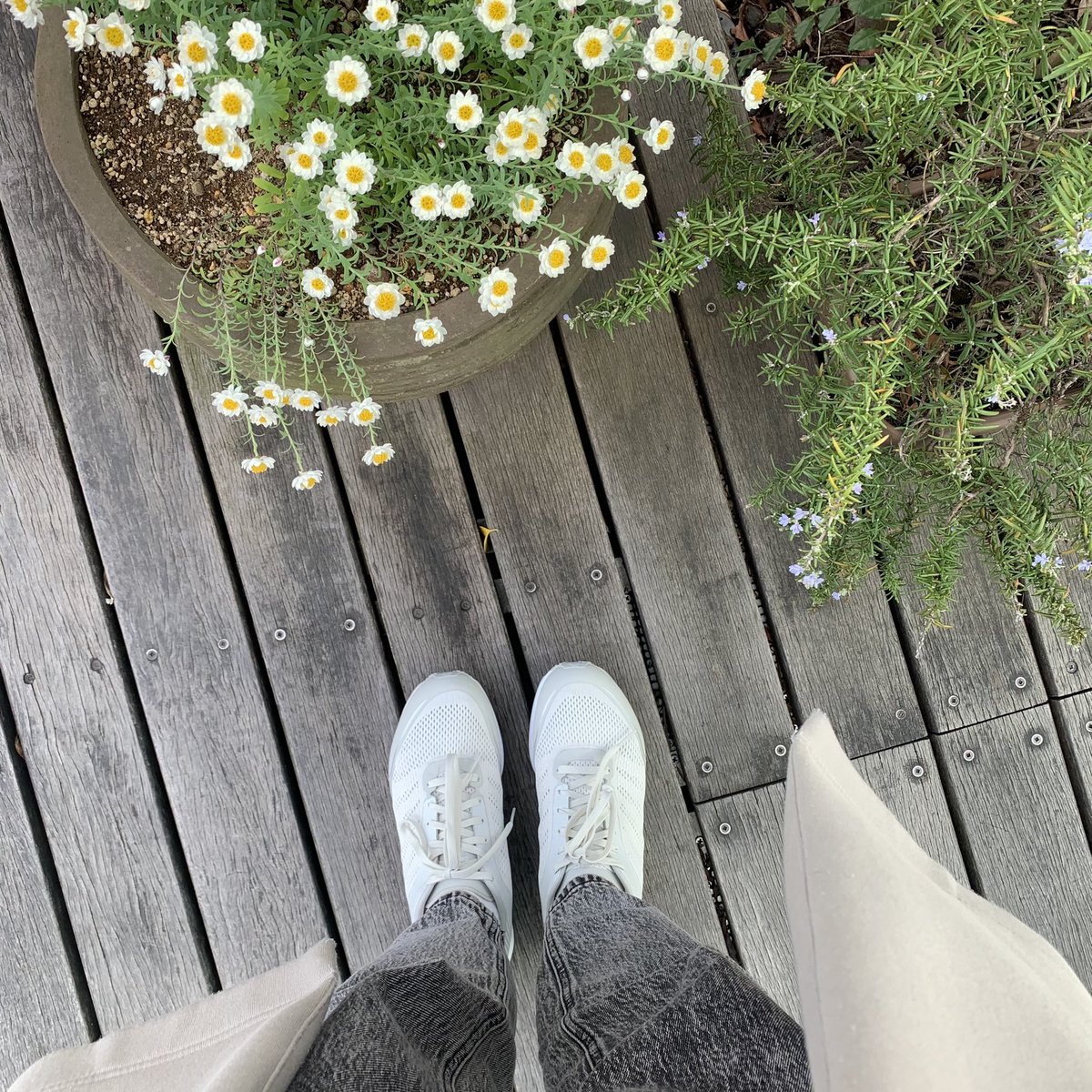 yuzuseasons's tweet photo. #デサントライブラン
#DRMOVE
私はホワイトを買いました🙂 https://t.co/Vf3bn3JCNY