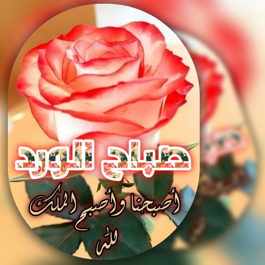 لا أعرف من سيقرأ لكن أسأل الله أن
يرزقك سعادة لا نهاية لها