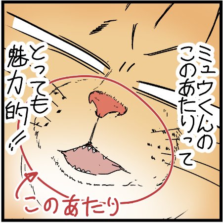 うちの猫、ミュウくんの魅力についてw
#ニャンコ  #まんが #マンガ #4コマ漫画 #四コマ漫画 #猫  #ねこ #猫あるある #猫漫画 #ペット #飼い主 #エッセイ漫画 #キャット #ねこのいる生活 #猫ばか 