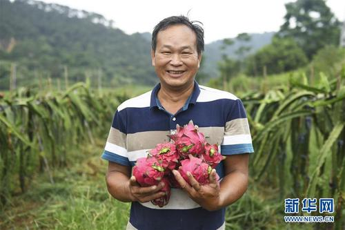 CNYouthStudio's tweet photo. [Insight]
| On the way to common wealth: China has alleviated absolute poverty • 走向小康：中国已消除绝对贫困 |

Link：
https://t.co/Xo2TaQcvN0 https://t.co/CLuflbIs48