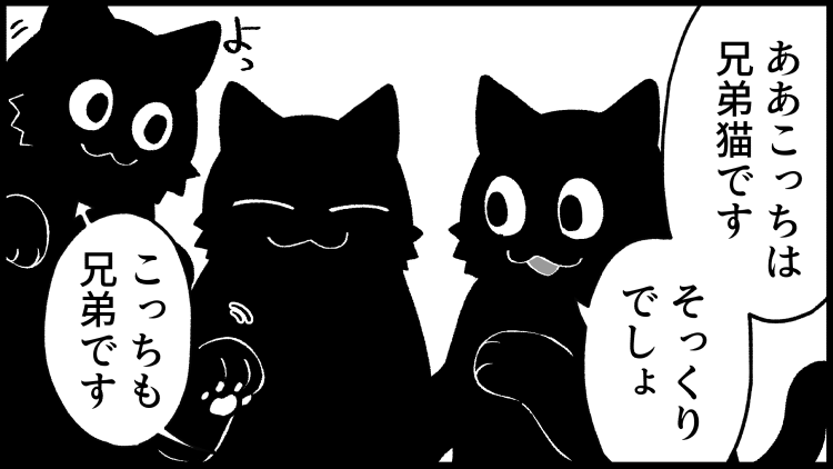 増えるねこさん。
--
毎週月曜日更新。「ねこさんが聞いてあげる!(清水めりぃ @zatta_shimizu )」 #ヤメコミ #4コマ漫画
https://t.co/PrRNDg7p1O