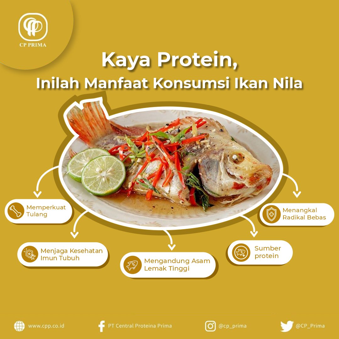 cpprima's tweet image. Kaya Akan Protein!!!

Selain rasanya yang lezat, ternyata ikan nila mempunya sumber protein yang baik untuk tubuh kita.