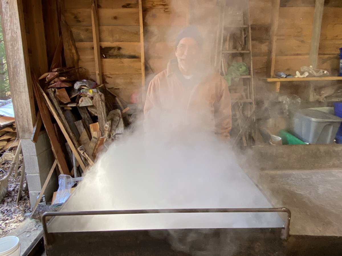 Springfield Community Gardens tweet media