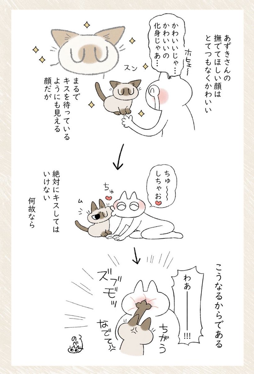 撫でていいよの顔 #シャム猫あずきさんは世界の中心 