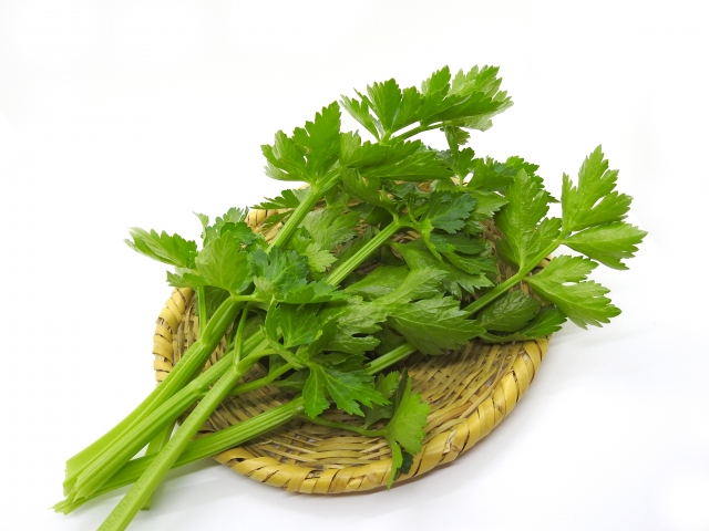 おかだけ 和蘭三葉 セロリー Celery 和名 オランダミツバ シャキシャキした食感と独特な香りが特徴 香り成分がイライラを抑える リラックス効果 葉の部分にはカロテンが多く含まれる 茎の筋は食感を損ねるので包丁で取り除く 夏野菜のように見える おかだけ 和蘭三葉 セロリー Celery 和名 オランダミツバ シャキシャキした食感と独特な香りが特徴 香り成分がイライラを抑える リラックス効果 葉の部分にはカロテンが多く含まれる 茎の筋は食感を損ねるので包丁で取り除く 夏野菜のように見える