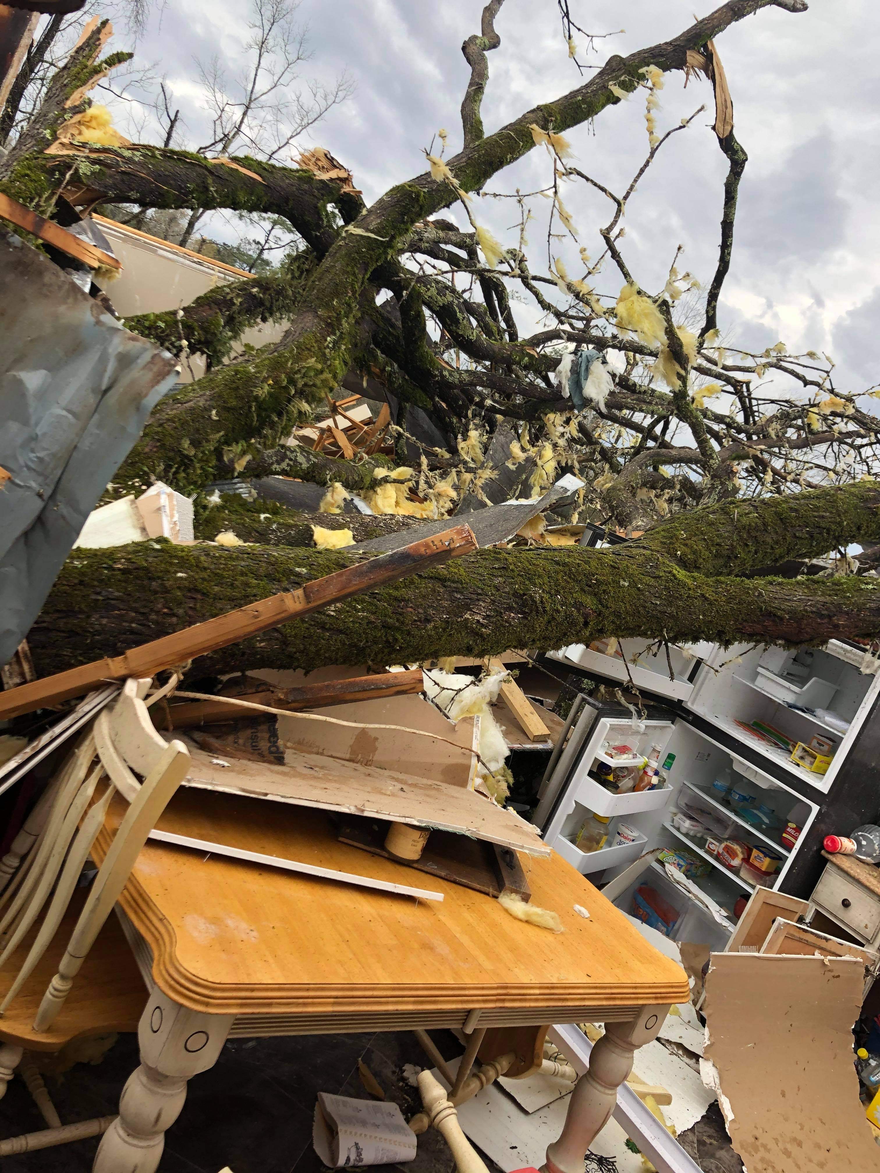 James Spann on Twitter "Tornado damage on Rosser Rd south of Tuscaloosa. The resident ran to a