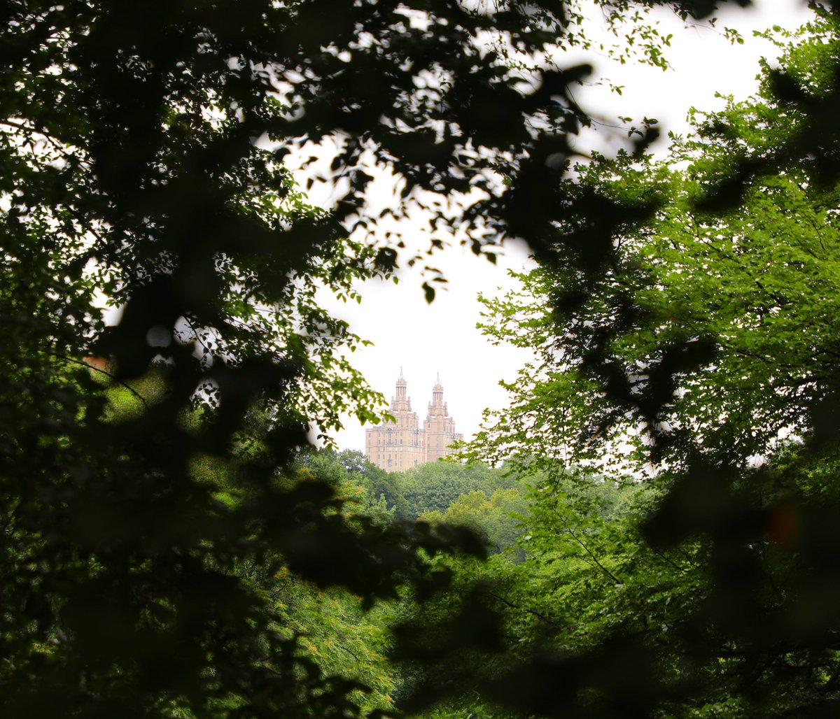 Green 💚 #IHeartNY #LuckOTheIrish #NothingToPinchHere