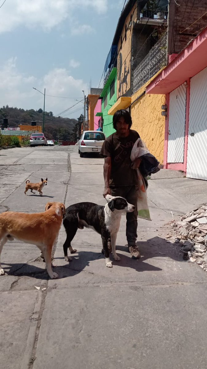 EscalandoV's tweet photo. En #EscalandoVidas, nos preocupamos por la correcta "Coexistencia Armónica Natural" de tus caninos, continuamos con los censos de mascotas en la Col. #CorpusChristi y #Politoco dentro de @AlcaldiaAO.
@Claudiashein @AlbertoEsteva @JASRA1 @SuarezdelReal1 https://t.co/tvkfqTIB3x