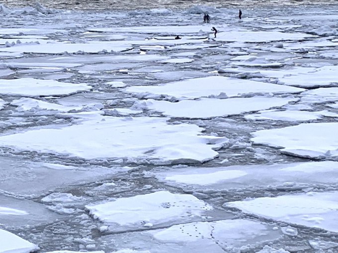 流氷ウォークのtwitterイラスト検索結果