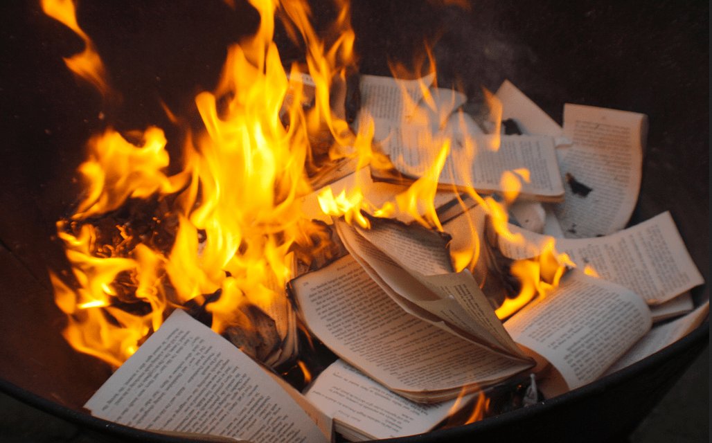 seaxfire tweet picture