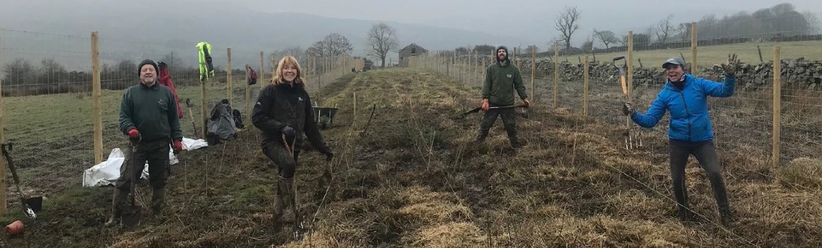 GroundControlGC's tweet photo. Amazing teamwork! Ground Control's Evergreen Fund and Make-it-Wild join forces to plant 5,700 trees at Dowgill Grange, Nidderdal https://t.co/yfo51eM67C #treeplanting #climatechange #sustainability https://t.co/geS2y5ajGf