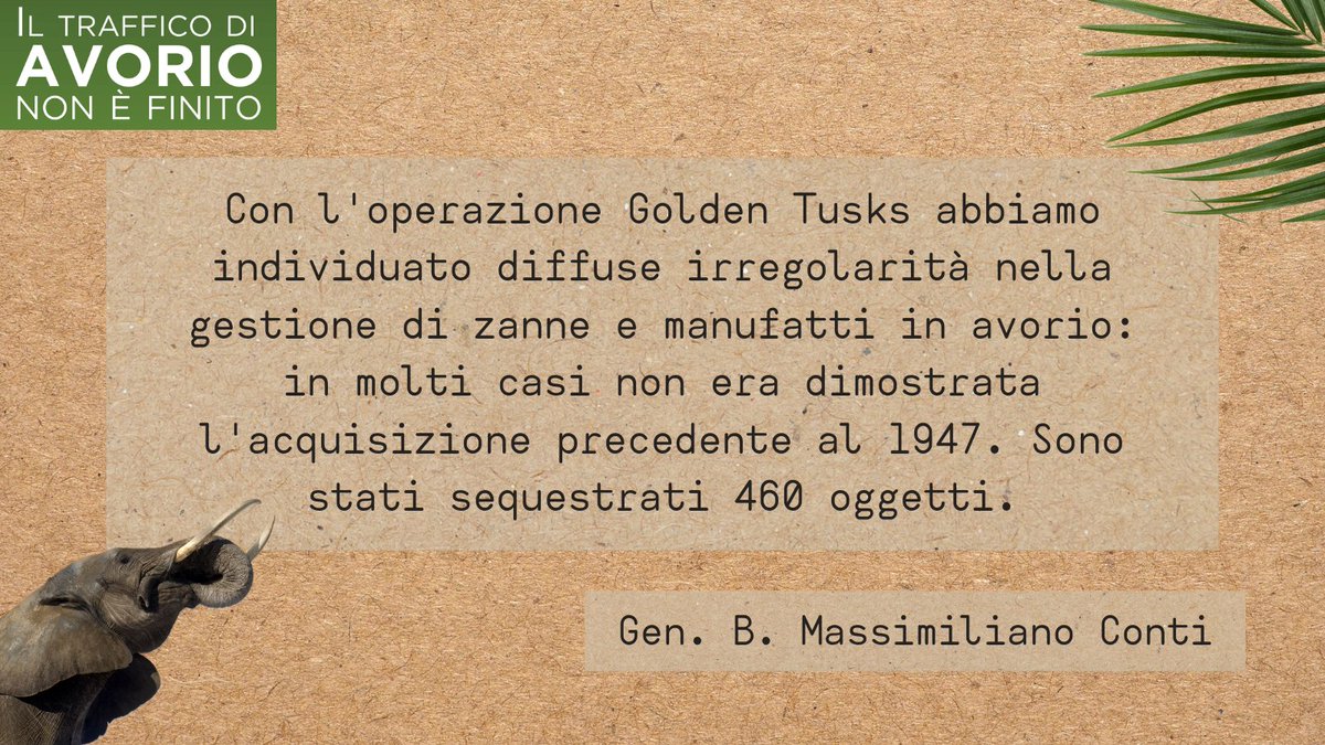 ElianteMilano's tweet photo. Il Gen. B. Massimiliano Conti, Comandante del Raggruppamento @CITES @_Carabinieri_ racconta l'operazione #goldentusks e altre attività di collaborazione con altri stati Europei e Europol. #StopAvorio #EuBiodiversity https://t.co/AQ9MJIHXdH