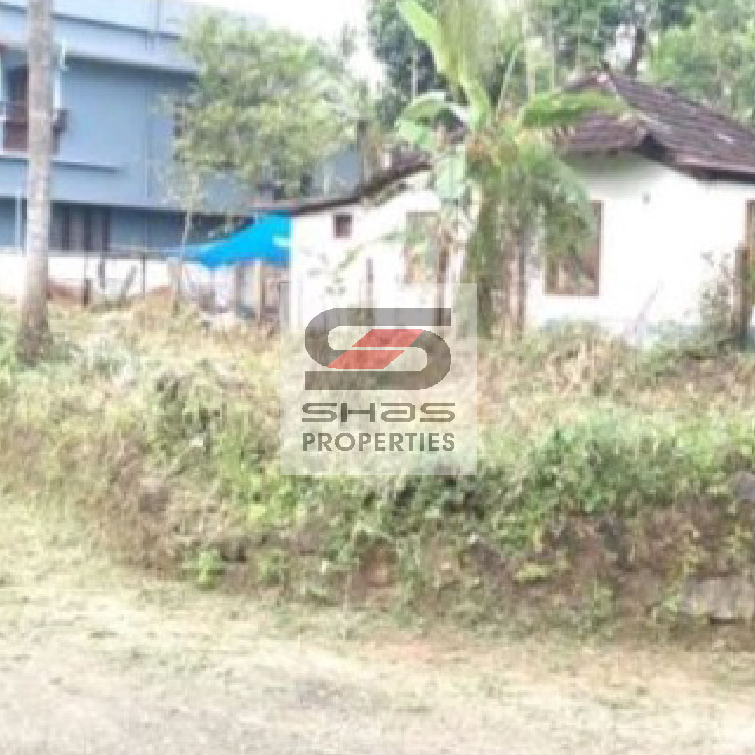 shasproperties's tweet photo. House plots for sale in Kannara, Thrissur
For Enquiry Call/whatsapp: 81118 11710
Visit: https://t.co/llbPYDUNxC
#kannara #thrissur #houseplotforsale #realestate #realtor #realestateagent #home #property #forsale #realtorlife #investment #househunting #shasproperties https://t.co/toB8FRyLdP