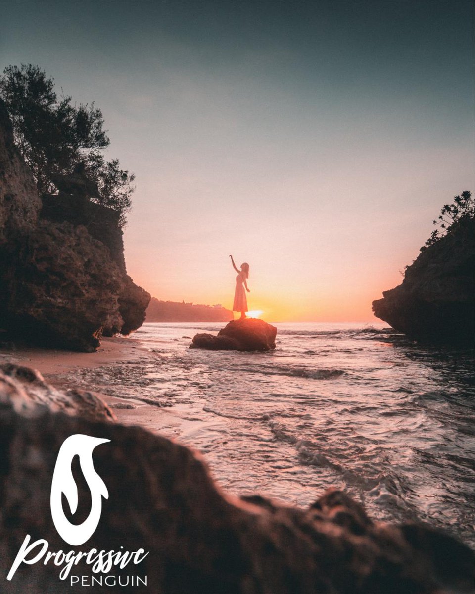 Pretend Penguin / Progressive Penguin tweet media