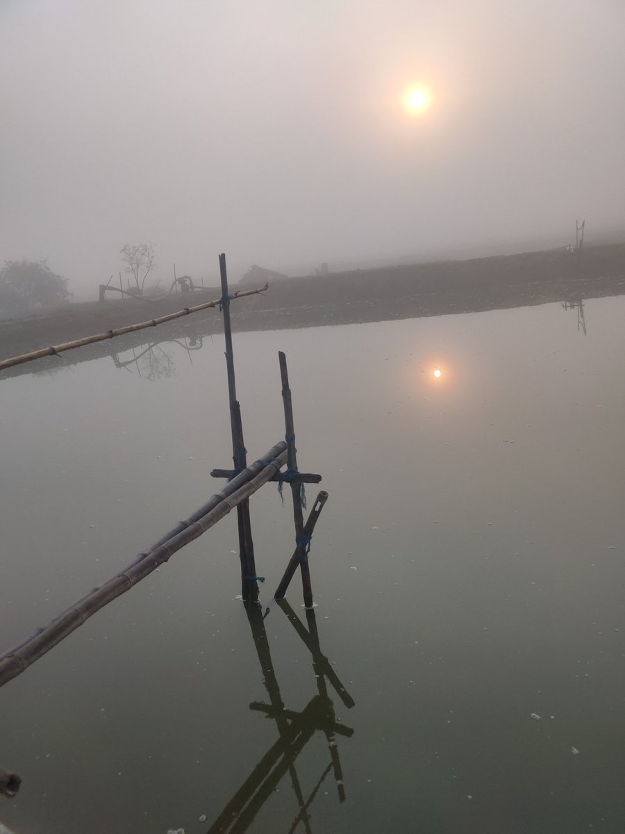 iamRamakanta's tweet photo. #PrawnFarm https://t.co/6aAopijprf