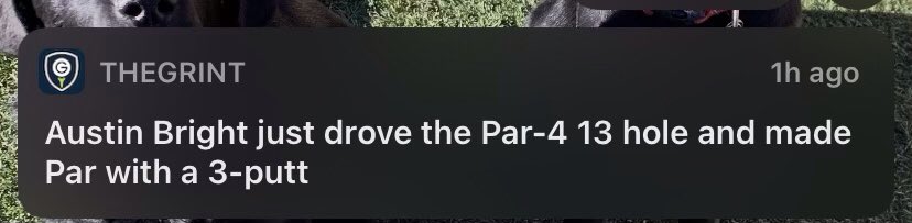 Austin Bright tweet media