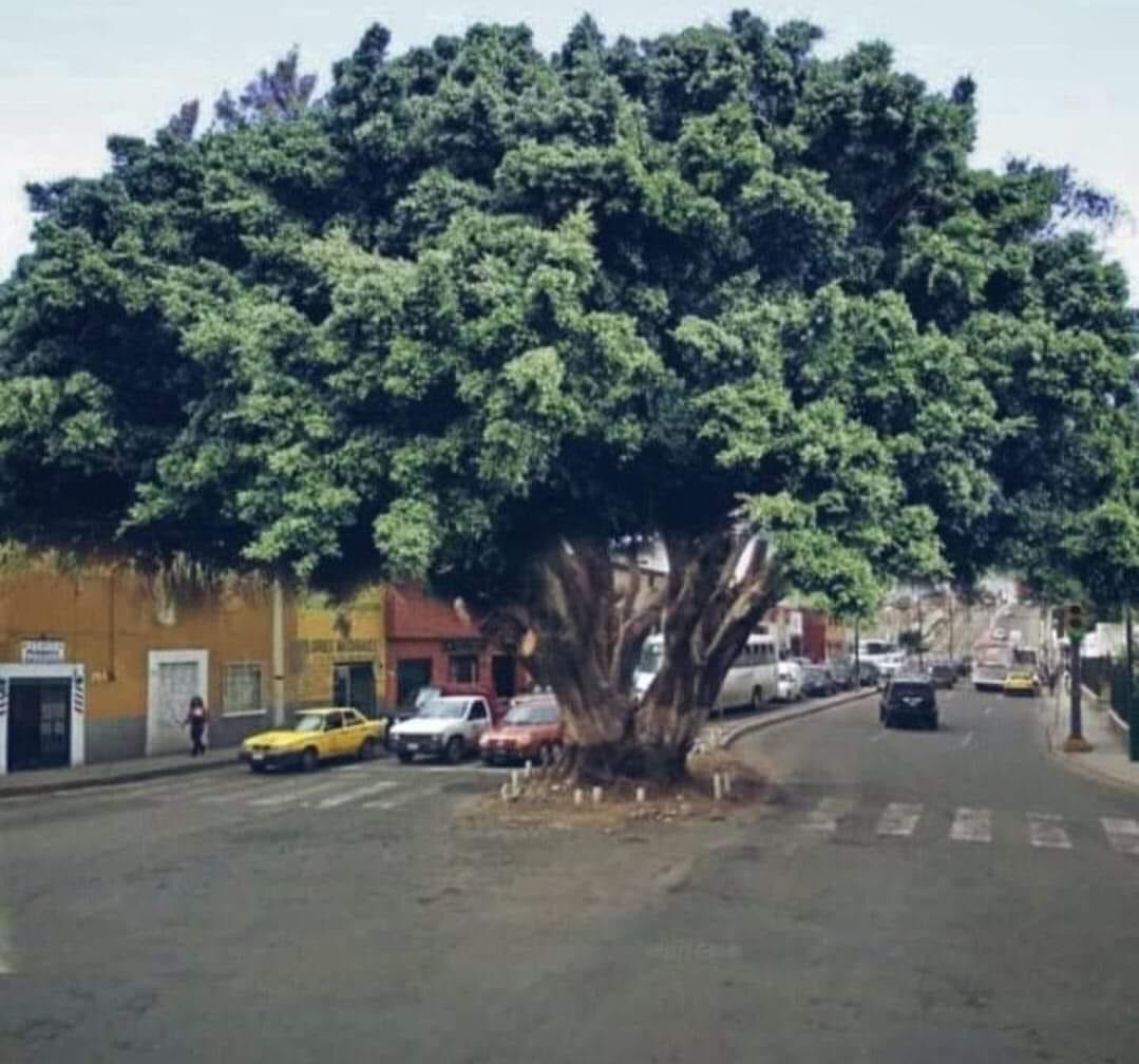 ¿Recuerdan está belleza?