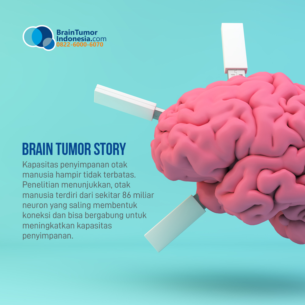 Kapasitas penyimpanan otak manusia hampir tidak terbatas. Penelitian menunjukkan, otak manusia terdiri dari sekitar 86 miliar neuron yang saling membentuk koneksi dan bisa bergabung untuk meningkatkan kapasitas penyimpanan

#Facts #BrainWeek #brain