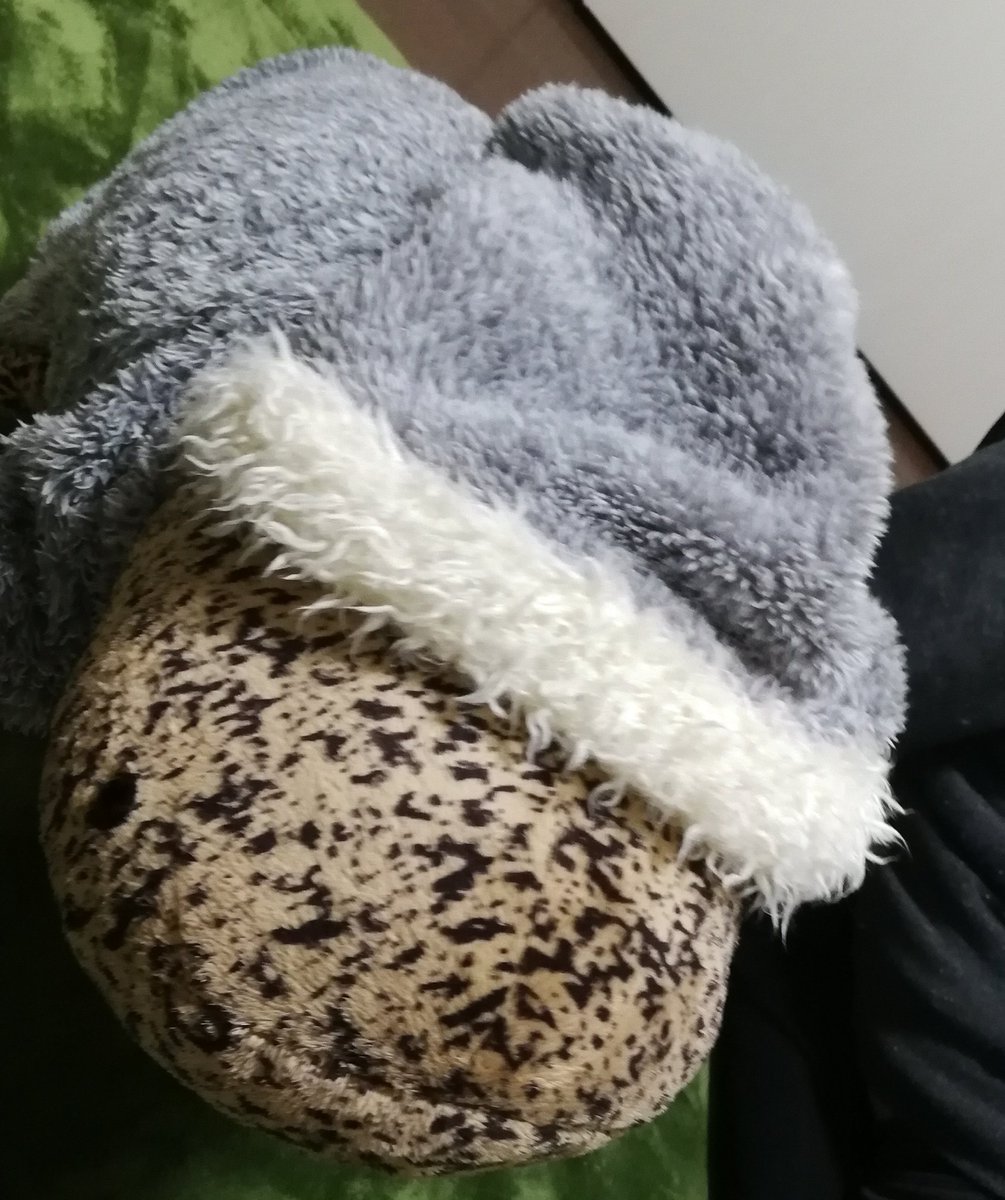 sansyo26's tweet photo. 今更ながらサンショウの冬服。
冷たい水が好きなオオサンショウウオにはどうなんだろか！？
#京都水族館
#オオサンショウウオ https://t.co/t6LVkGIR2c