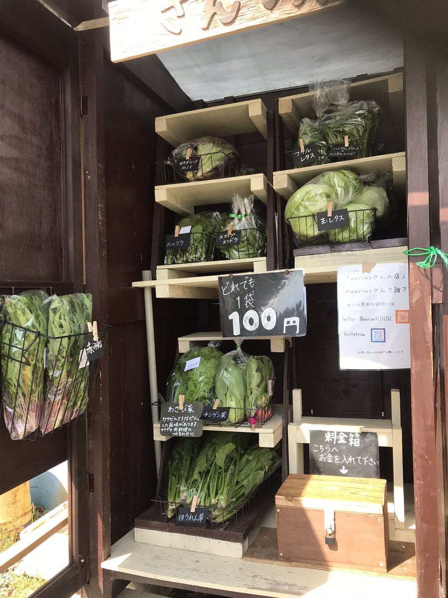 Marimo 3月18日 木 今日は晴れて暖かいです 本日の Marimoさんの店 ラインナップです 今日は玉レタスがありますよ 13 00 18 00オープン 宜しくお願い致します Marimoさんの店 豊橋 野菜直売所 Marimo 3月18日 木 今日は晴れて暖かいです 本日の Marimoさんの店 ラインナップです 今日は玉レタスがありますよ 13 00 18 00オープン 宜しくお願い致します Marimoさんの店 豊橋 野菜直売所