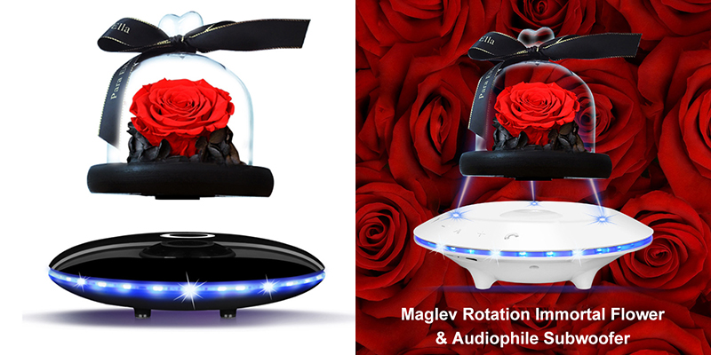 PresidentLed's tweet image. Bluetooth Magnetic Levitation Speaker

Immortal flowers are dried flowers processed through a series of complicated processes such as dehydration, decolorization, drying, and dyeing.
#levitation #Bluetooth #bluetoothspeaker #gift #rose #ledlight #ledlighting