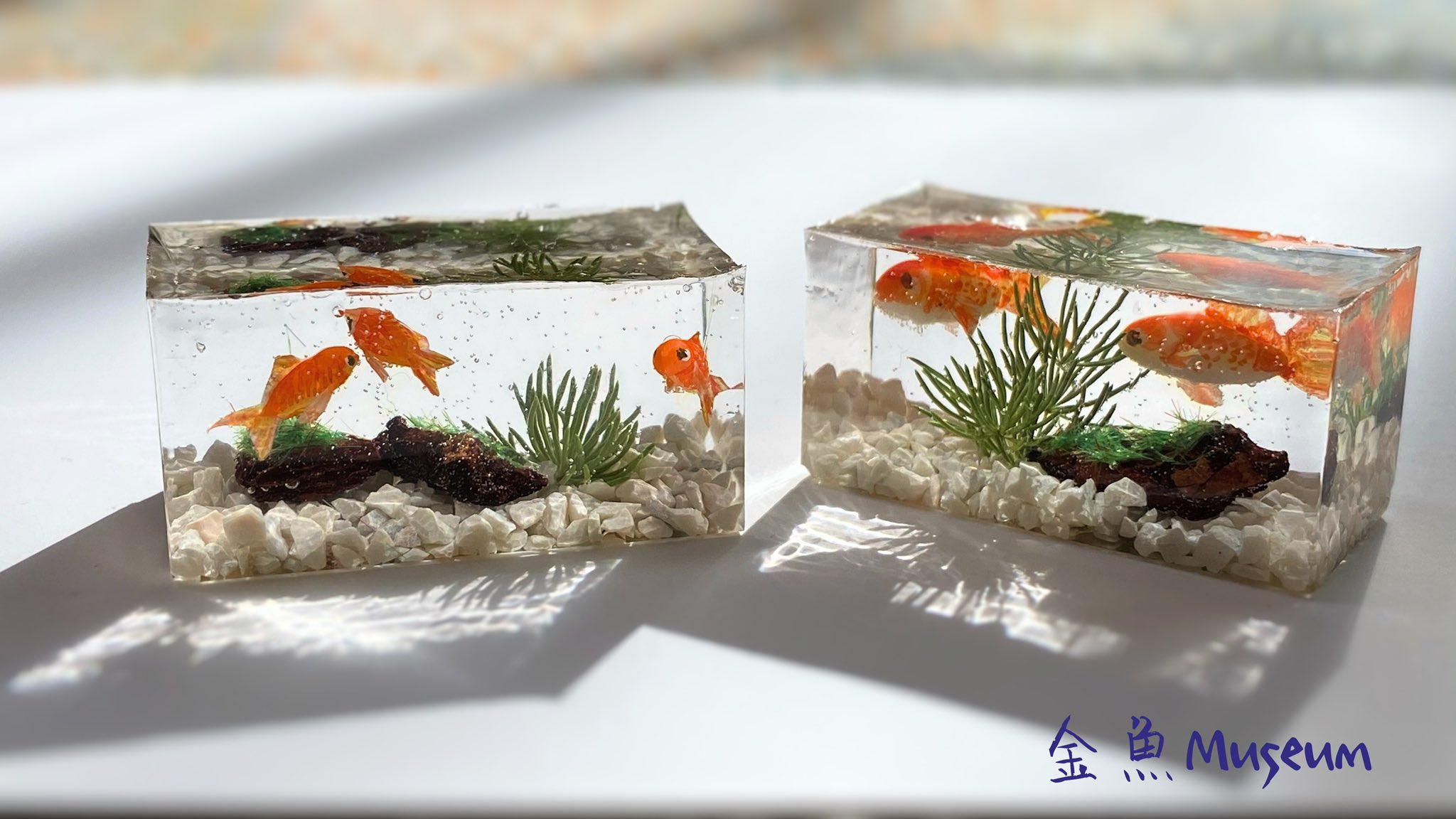 金魚museum デザフェス11 13k 278 水槽金魚ちゃん 完成 今回は大きなトラブルなく作れました チビ金魚 ちゃんバージョンも作ってみたけど この型のサイズ的にはこっちの方が水槽っぽい でも大きい子もかわいいんだよな W 金魚 ハンドメイド