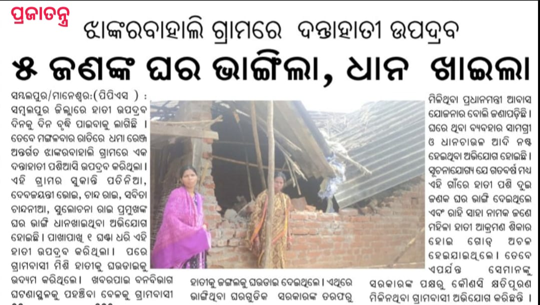 JpChaturbhuja's tweet photo. ସରକାର ପ୍ରଶାସନ ଟିକେ ଦେଖୁନ୍ ଗରିବ ଲୋକଙ୍କର
ଘର ଭାଙ୍ଗି ଧାନ ଖାଈ ଦେଲେ ନ ହାତୀ !! 
Look this matter sir @DfoSambalpur 
@DmSambalpur #Sambalpur https://t.co/rRqKv7oY4K