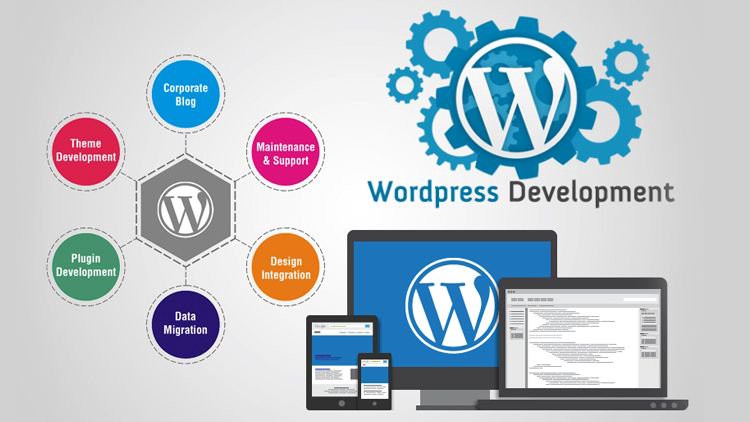 xmediasolution2's tweet photo. Get a Professional Website from Xmedisolutions Web Designing Company in India &amp; the USA. Modern Dynamic Websites, CMS Websites, Custom PHP Development, Mobile App. Whatsapp. Get your Quote Now. Services: Digital Marketing, Mobile App Development, Web Design. #webdevelopment https://t.co/N2uXRIyviE