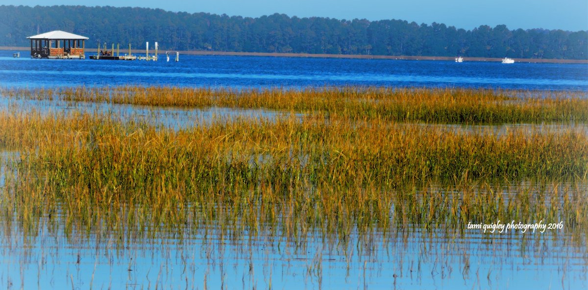 tamitrailscapes's tweet photo. Good Morning Dixie https://t.co/4UeY5XEjEV #ThursdayMorning #art #morning #Southern #ThePhotoHour #OnlineShop #artprint #MothersDay #giftideas #decor #CanvasPrints #MetalPrint #facemasks #Stickers #puzzle #SouthCarolina #Lowcountry #BlufftonSC #ColletonRiver #LehighValley #prints https://t.co/Q0mG5hQH8c