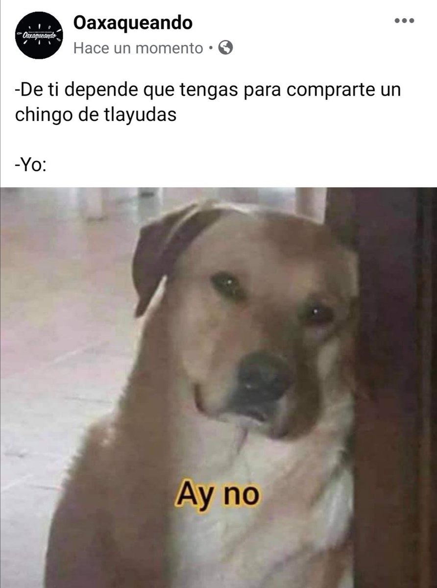 OaxaqueandoO's tweet photo. https://t.co/8b4P3kgU8Q