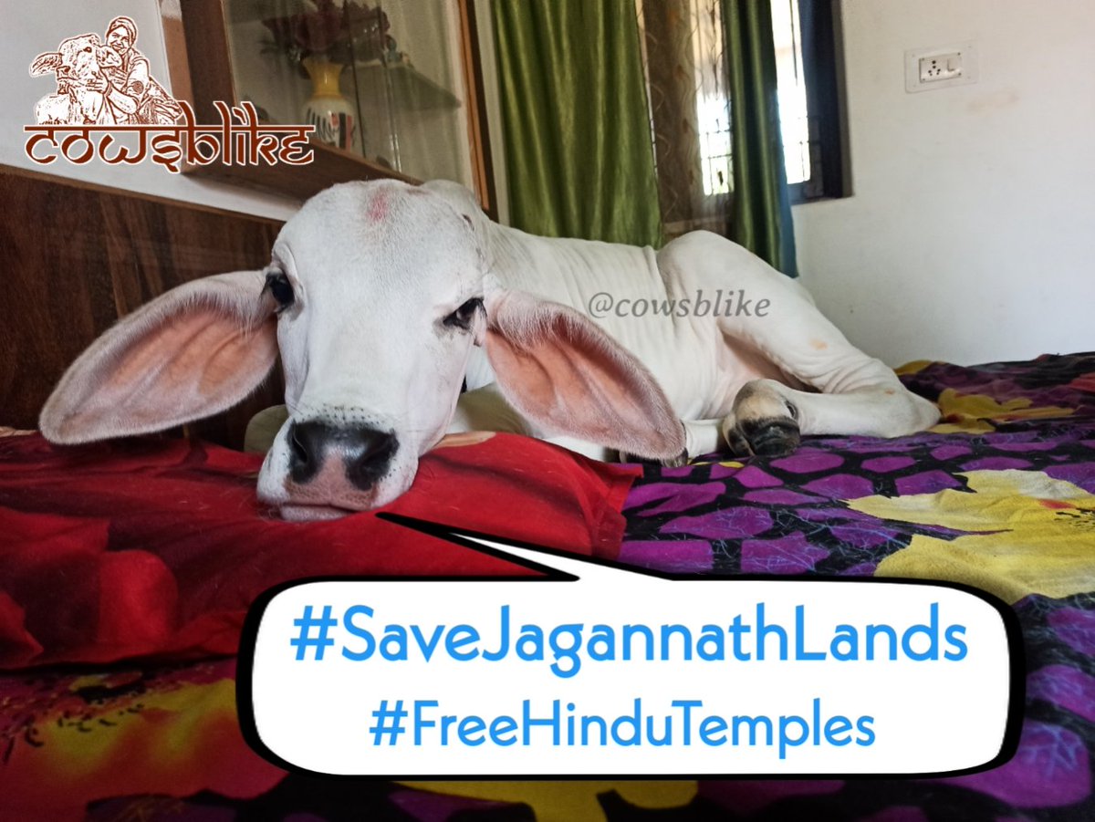 Odisha govt to sell over 35k acres of Jagannath temple land
The state govt has decided to collect the amount from people who have encroached upon the temple land but it will not return the land to the temple where is actually belong
#SaveJagannathLands