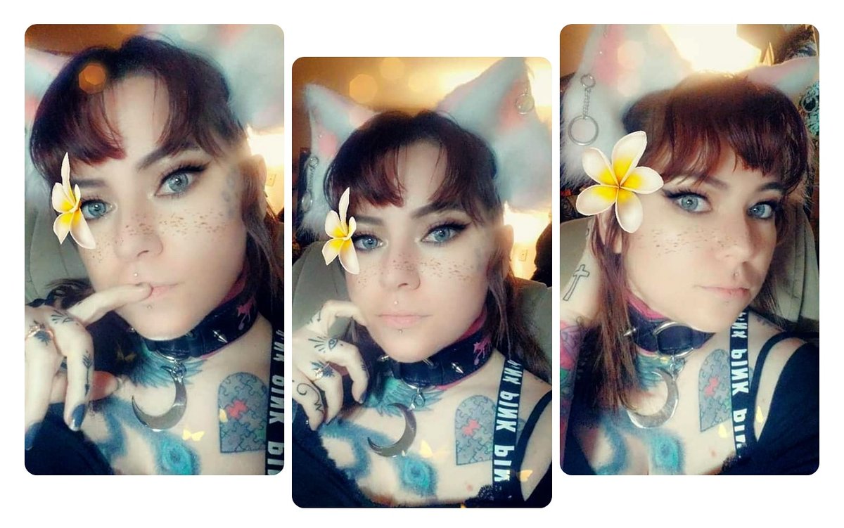 MissQuinn87's tweet photo. https://t.co/4zLNxM4Syy