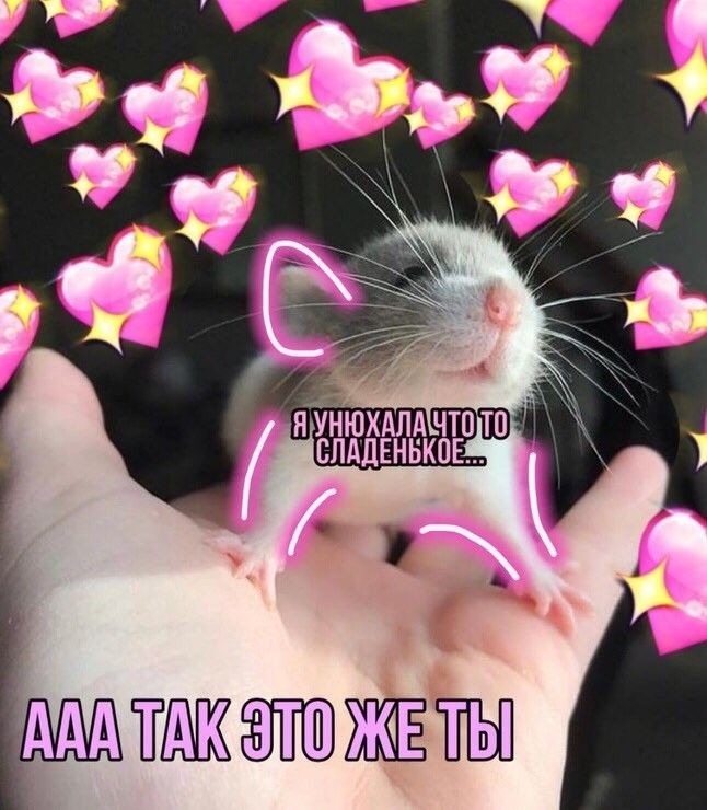 Две крыски мем