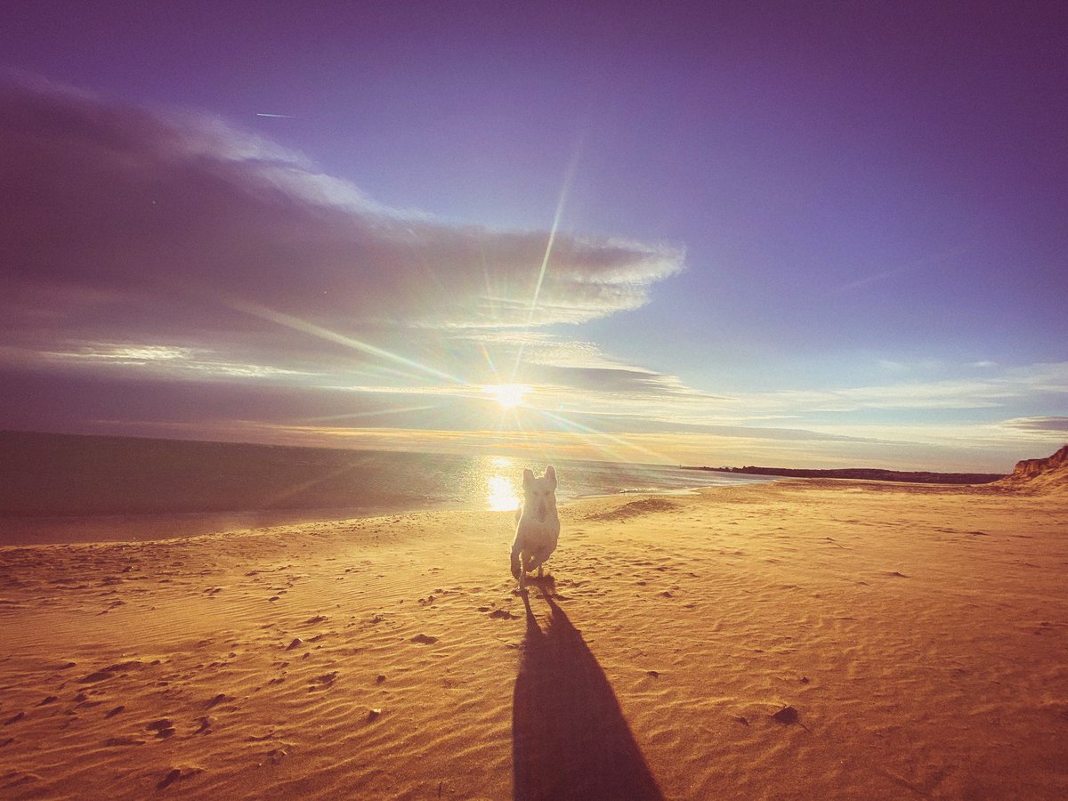 Cris Carrascosa ⚡️ tweet media